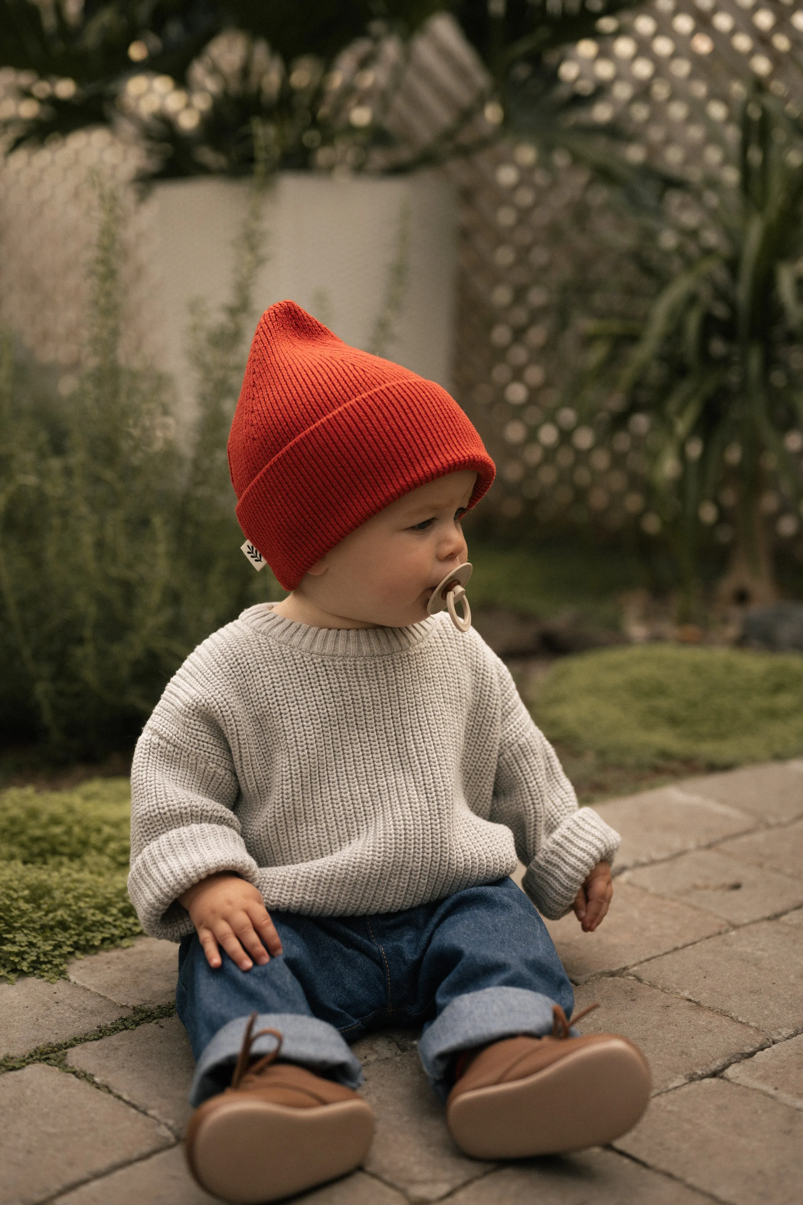 Knit Cotton Sweater - Royal Lavender